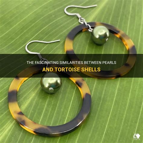 are pearls similar to tortoise shell